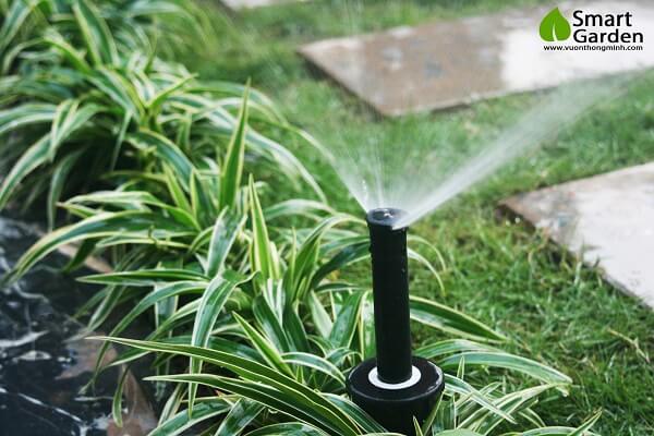 Hệ thống tưới phun mưa cho sân vườn