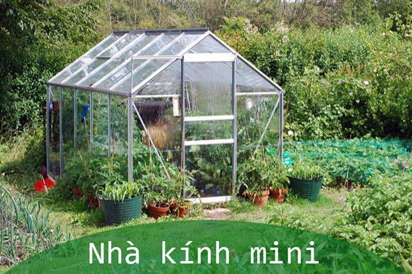 Cách làm nhà kính mini, nhà lưới, nhà màng trồng rau sạch
