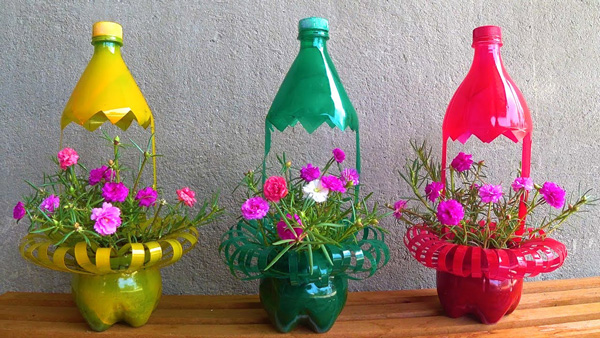 cách trồng hoa mười giờ bằng chai nhựa