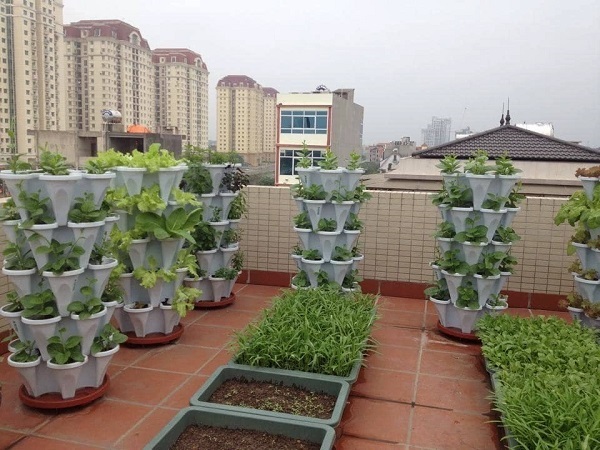 mô hình trồng rau trên sân thượng theo hình tháp